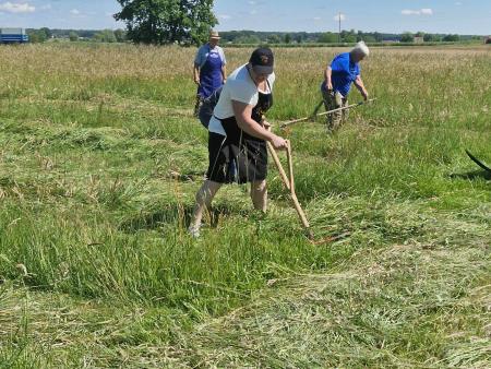 tekmovanje koscev vogričevci (2)